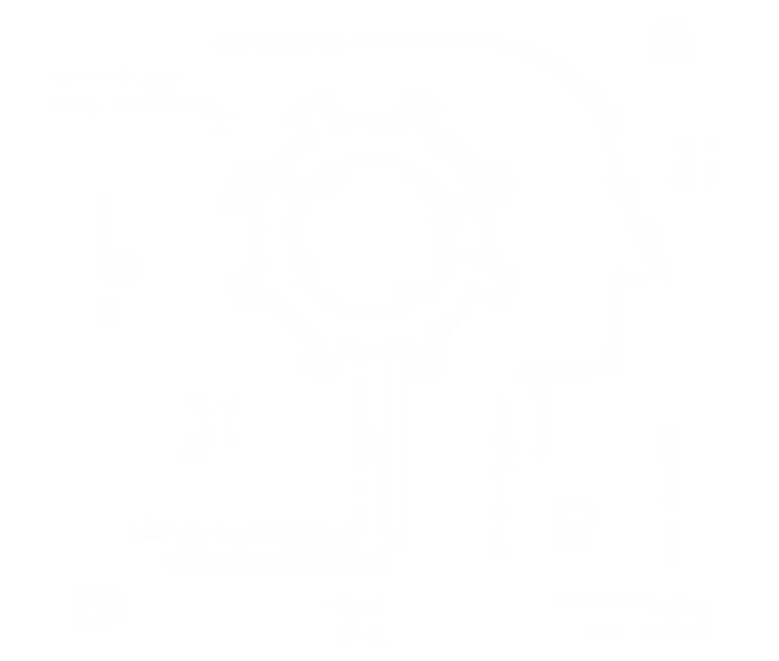 IT Project Management